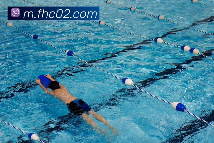 凤凰彩票官网平台平台生态图